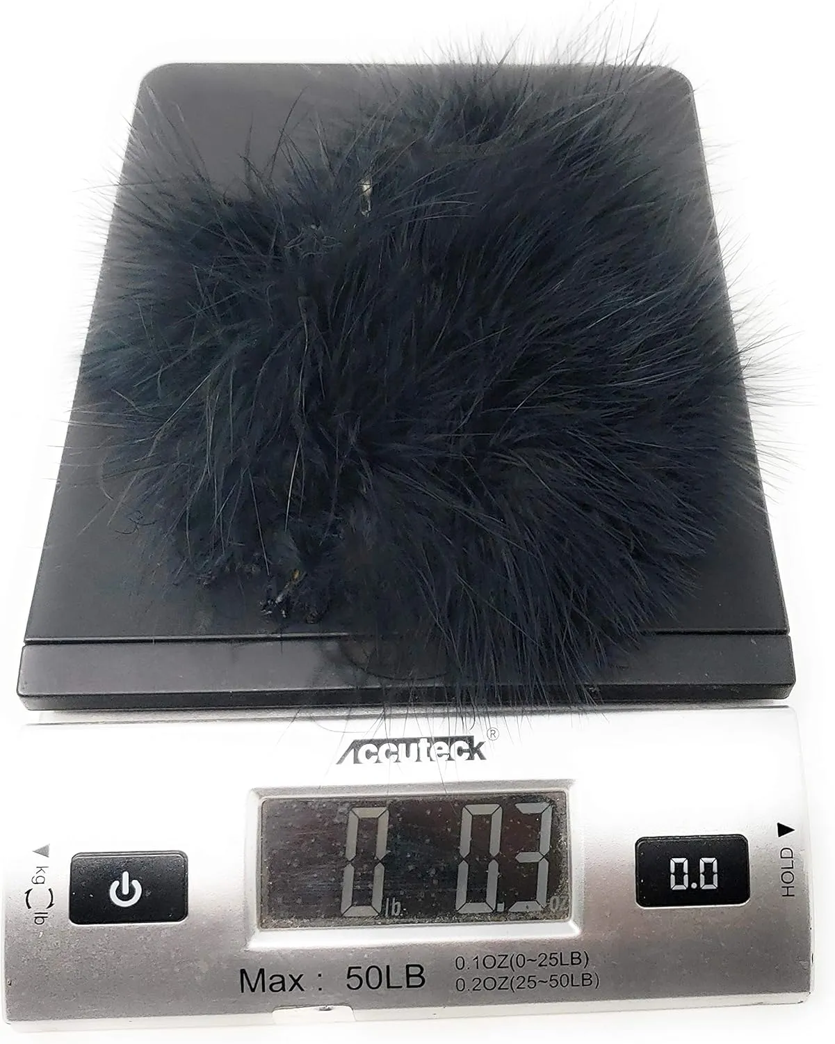 Creative Angler Strung Marabou Bird Feathers for Tying Fly Fishing Flies - Fly Tying Accessories - Perfect Choice for Tail & Wings and Easy to Tie On The Lure