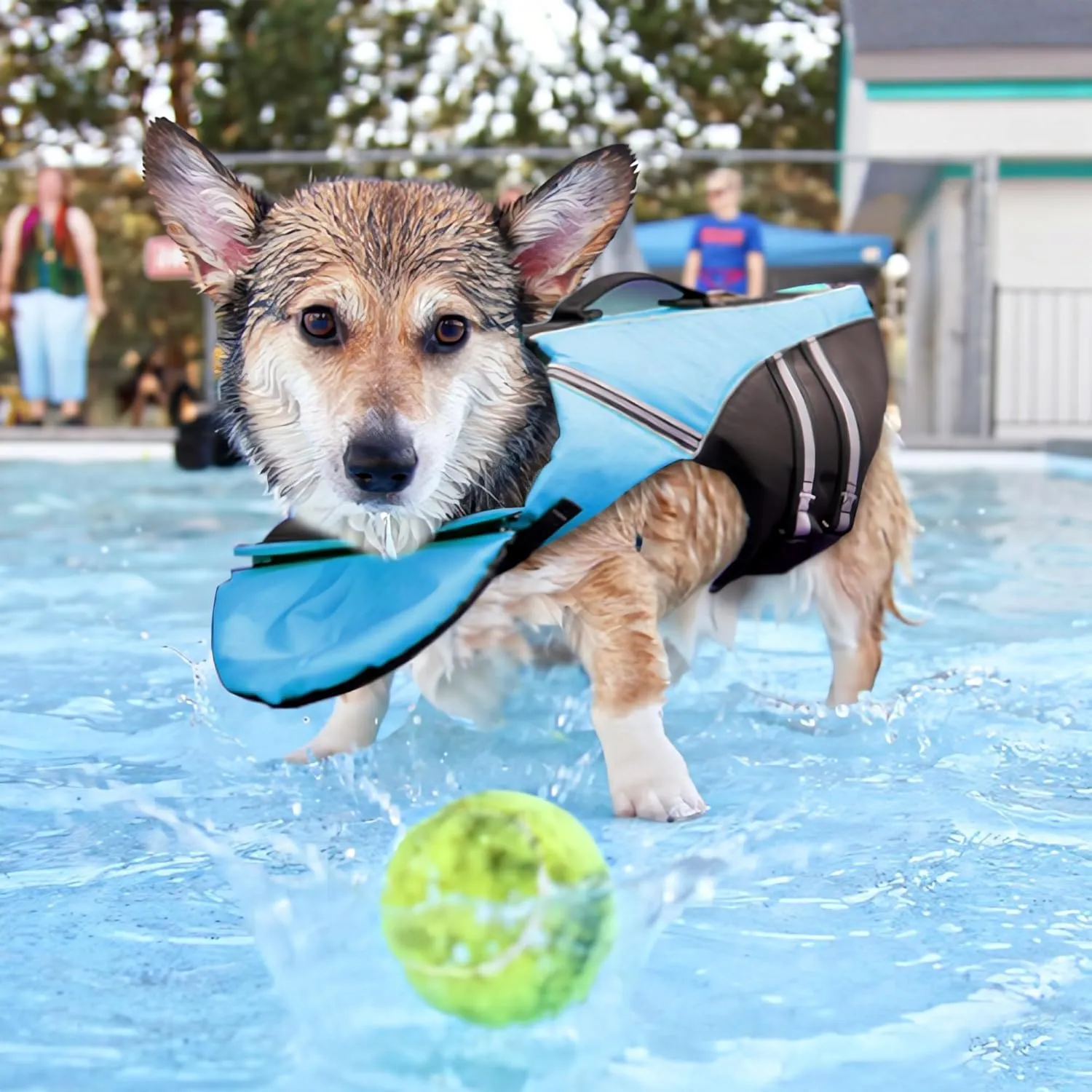 Dog Life Jacket, Reflective Dog Life Vest with Removable Neck Float & High Buoyancy for Swimming and Boating, Ripstop Pet Safety Swimsuit Rescue Handle for Small Medium Large Dogs
