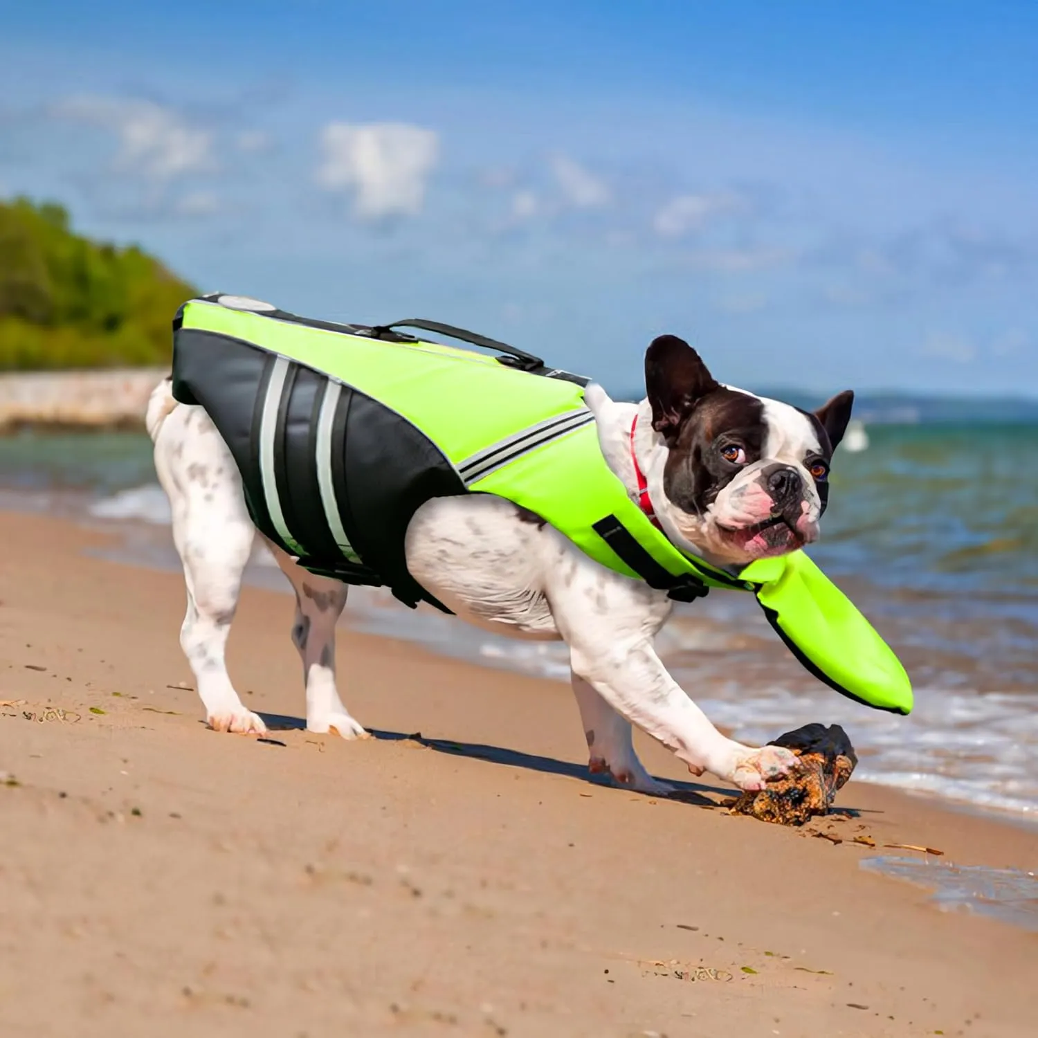 Dog Life Jacket, Reflective Dog Life Vest with Removable Neck Float & High Buoyancy for Swimming and Boating, Ripstop Pet Safety Swimsuit Rescue Handle for Small Medium Large Dogs