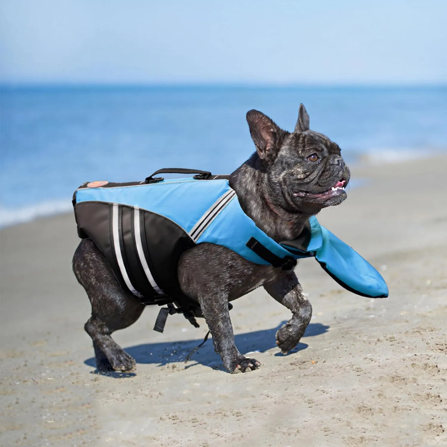 Dog Life Jacket, Reflective Dog Life Vest with Removable Neck Float & High Buoyancy for Swimming and Boating, Ripstop Pet Safety Swimsuit Rescue Handle for Small Medium Large Dogs