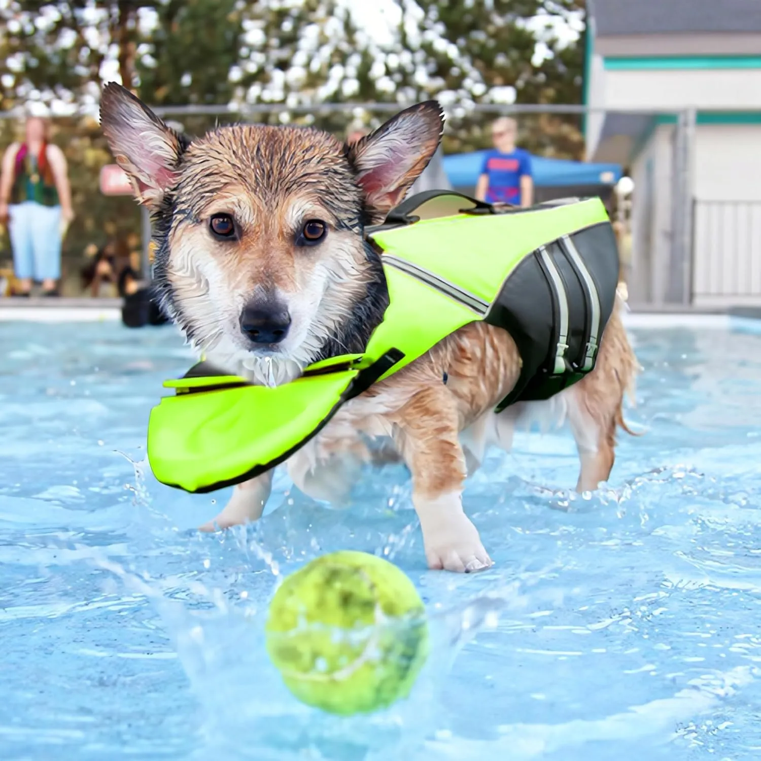 Dog Life Jacket, Reflective Dog Life Vest with Removable Neck Float & High Buoyancy for Swimming and Boating, Ripstop Pet Safety Swimsuit Rescue Handle for Small Medium Large Dogs