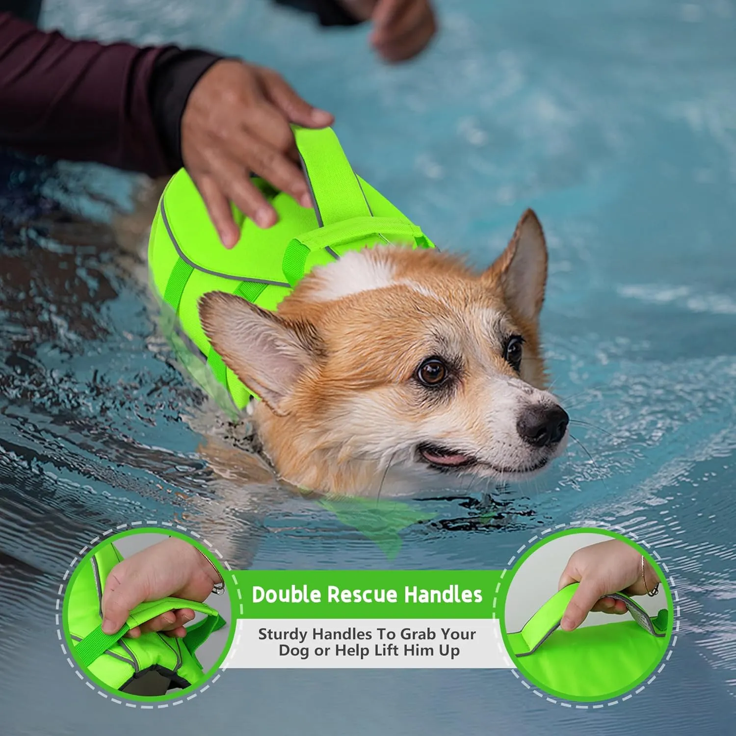 Dogcheer Dog Life Jacket with Double Rescue Handle, Reflective Dog Harness Life Vest for Swimming Boating, Adjustable Puppy Swim Jacket Pet DFD Floating Vest for Small Medium Large Dogs - Green M