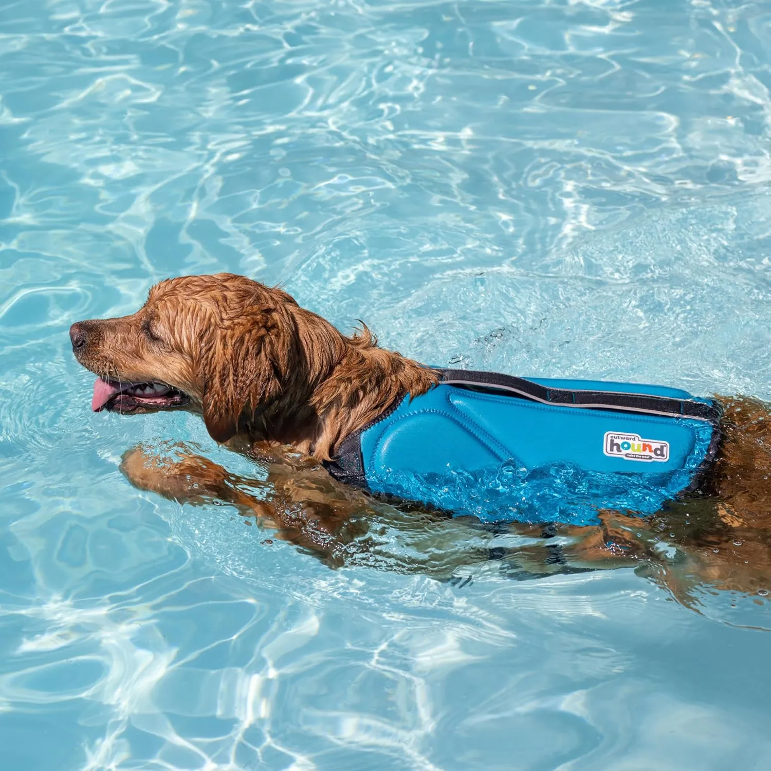 Outward Hound Dawson Swim Dog Life Jacket, High-Performance Neoprene Dog Life Vest for Swimming, Boating, and Water Safety, Medium, Blue