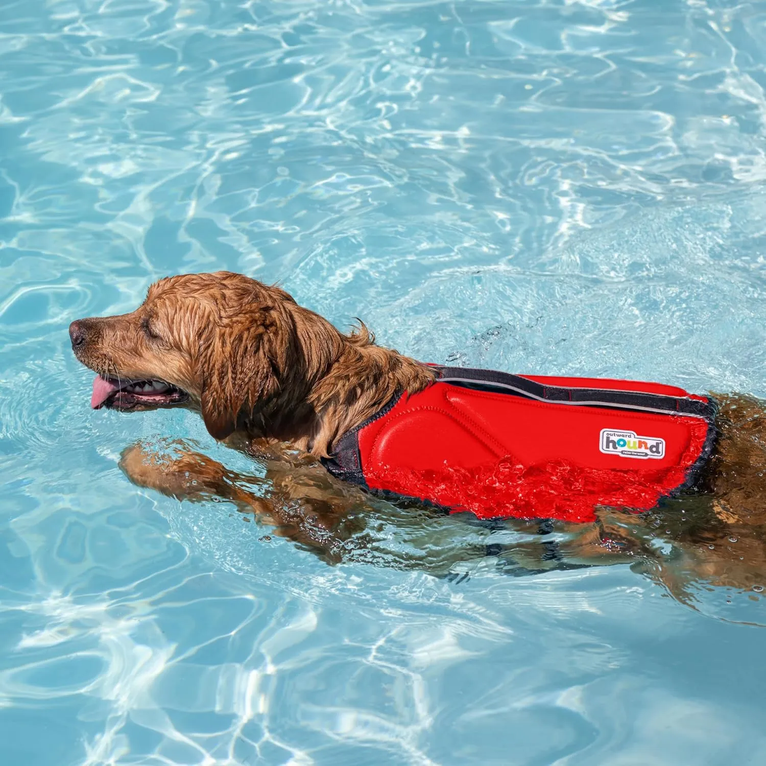 Outward Hound Dawson Swim Dog Life Jacket, High-Performance Neoprene Dog Life Vest for Swimming, Boating, and Water Safety, Medium, Red